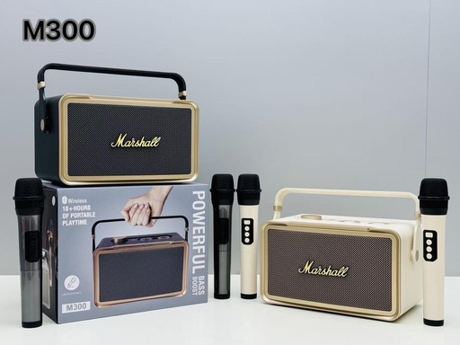 [M300] ลำโพงบลูทูธคาราโอเกะ รุ่น M300 ที่มาพร้อมไมโครโฟนไร้สาย 2 ตัว